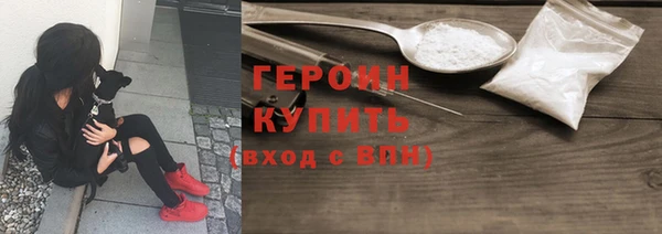 гашик Алексин