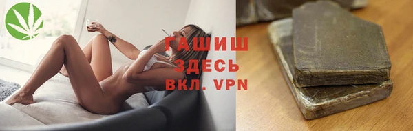 гашик Алексин