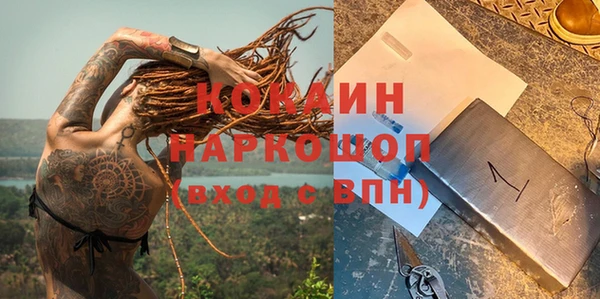 гашик Алексин