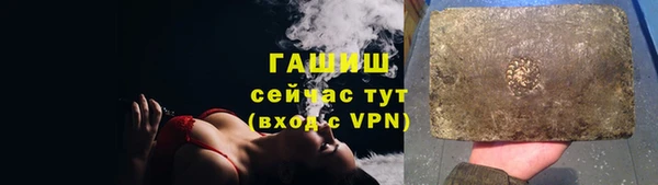 гашик Алексин