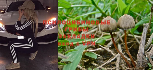 гашик Алексин