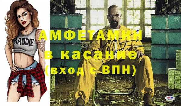 гашик Алексин