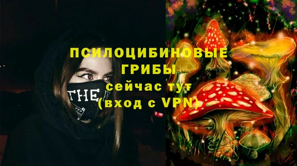 гашик Алексин