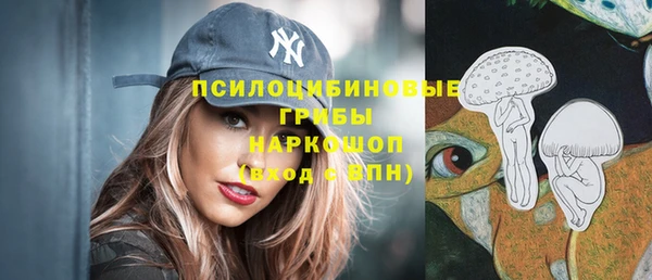 бошки Алзамай