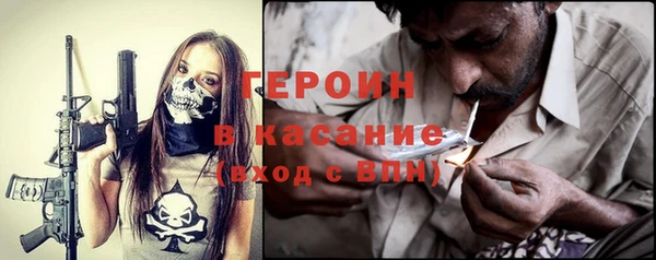 гашик Алексин