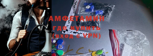 гашик Алексин